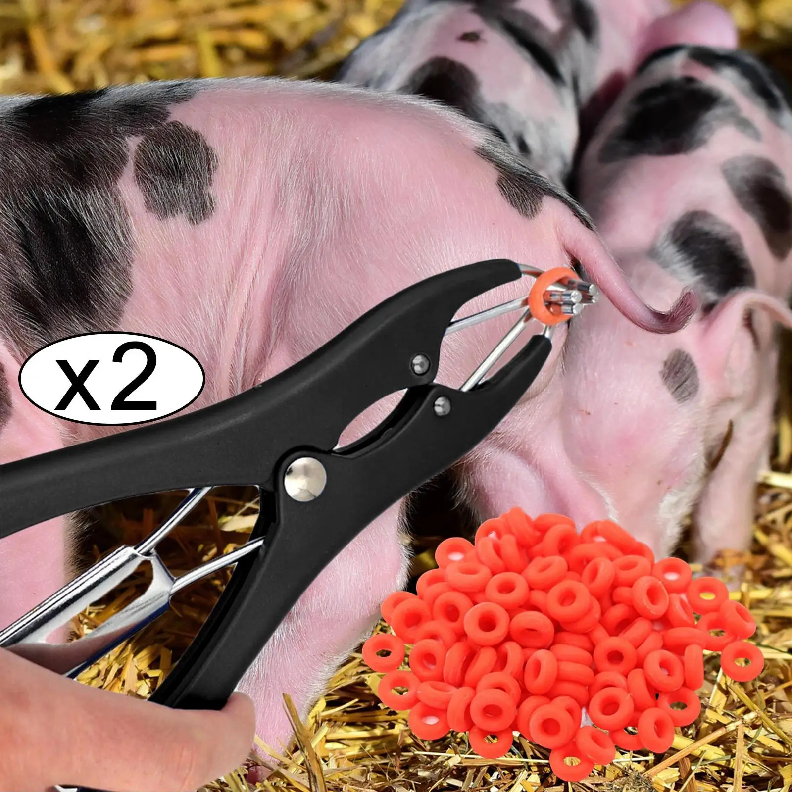 Castration Plier Animal Equipment Tool Castration Banding Tail Livestock Castration Bander Pig Tail Cutting Clamp for Piglets