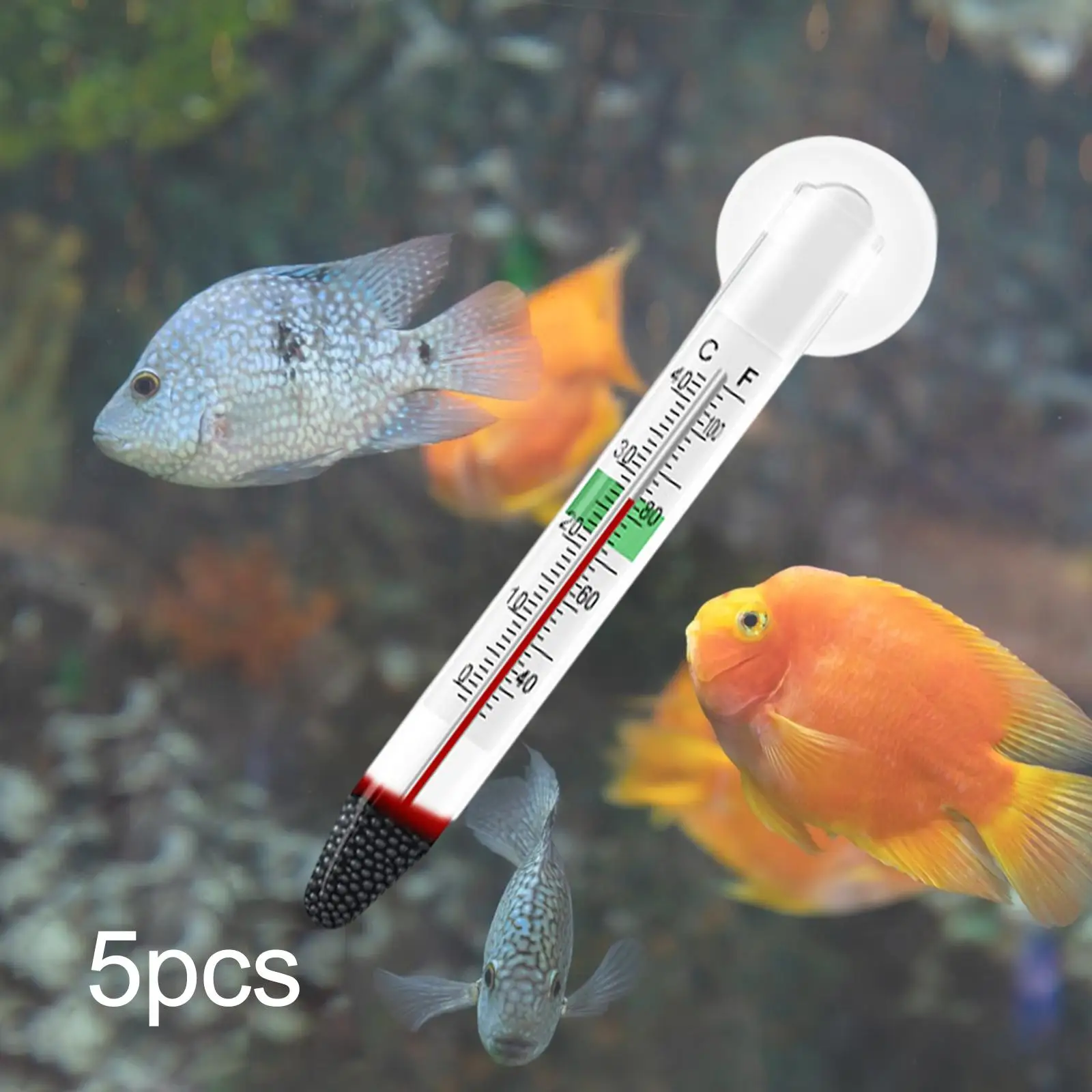 5Pcs Floating Thermometer Double Layered Glass Easy Read for All Water Types Suspended Design Glass Tube with Suction Cup