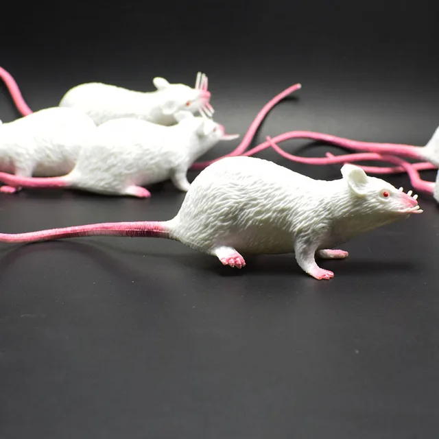 Modello di ratto robusto vivido plastica piccolo topo finto decorazioni per  la casa ornamenti da tavolo bambino educazione precoce giocattoli di  cognizione - AliExpress