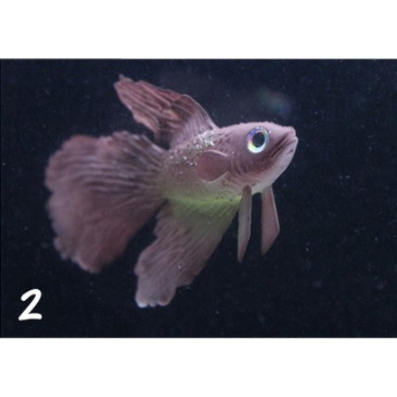 1PC Künstliche Aquarium Dekoration Leuchtende Wirkung Goldfisch Aquarium Ornament Dekor – Detail 2