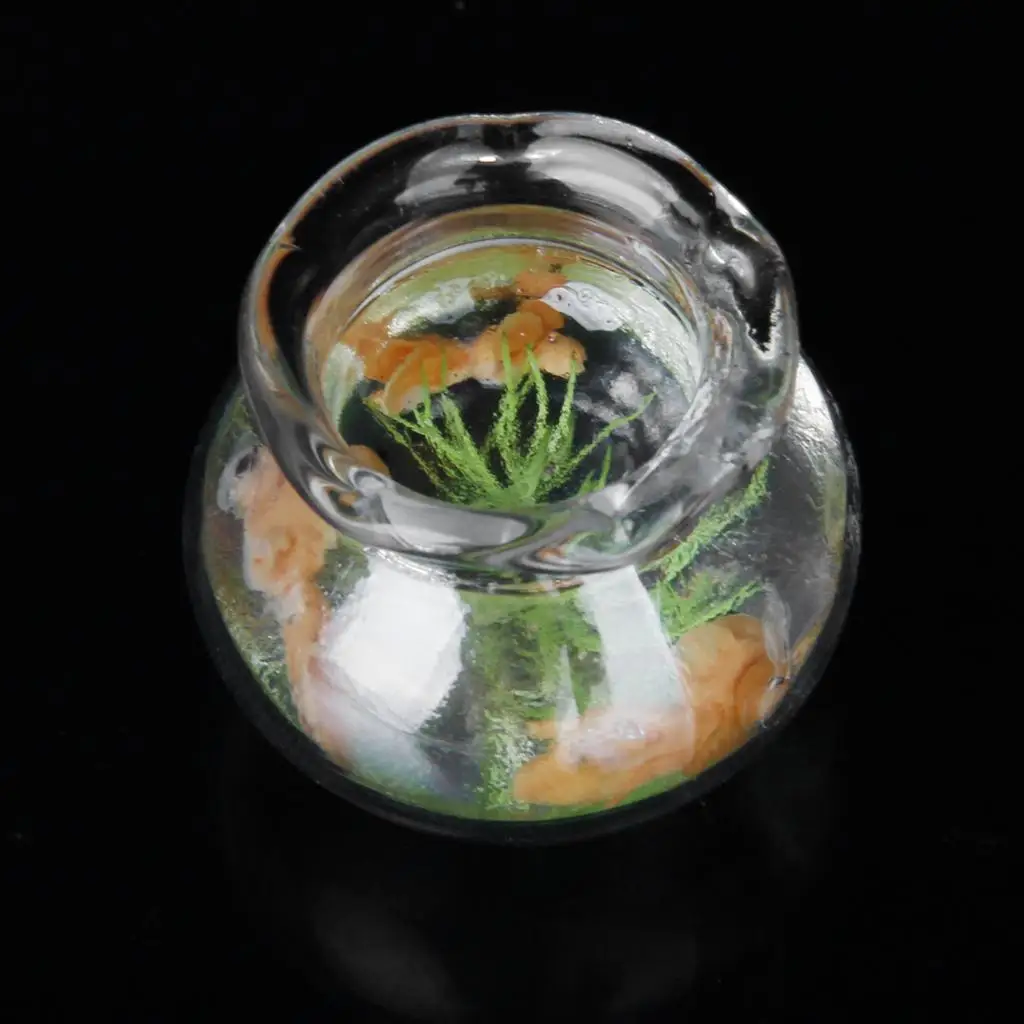 1:12 Scale Miniature  Glass Bowl With Greenery DOLLHOUSE Miniature Pets