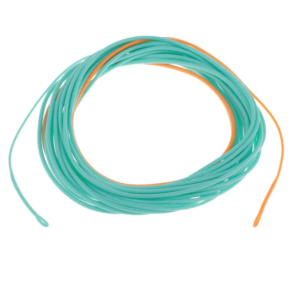 200gr-650gr Floating Head Floating Fly Fishing Line with 2 Buckles