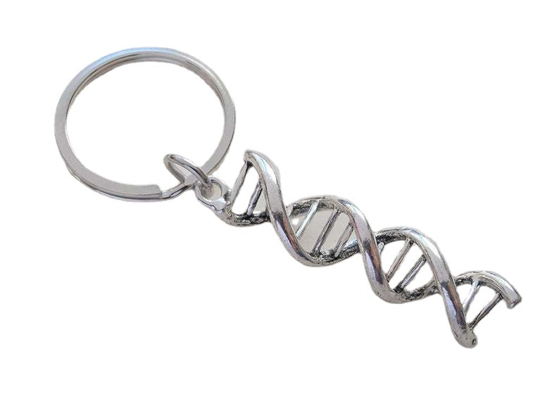 DNA Molekulare Doppel Helix Schlüssel Kette, Wissenschaft und Chemie Schlüssel Kette, Abschluss Geschenk, Mitschüler und Lehrer Geschenk – Detail 3