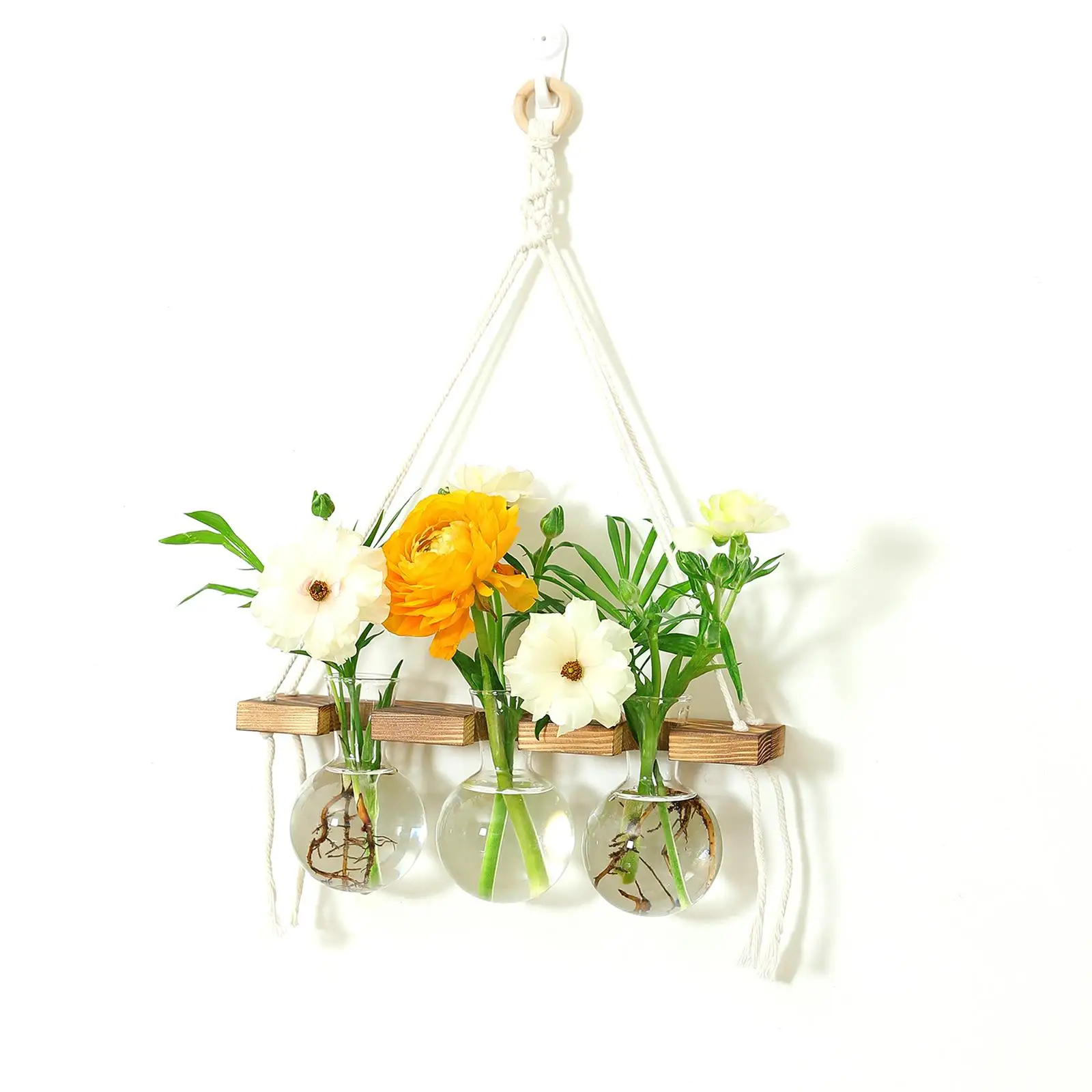 Wall Hanging Planter Wooden Frame Stand Modern Glass Flower Vase for Garden Decor