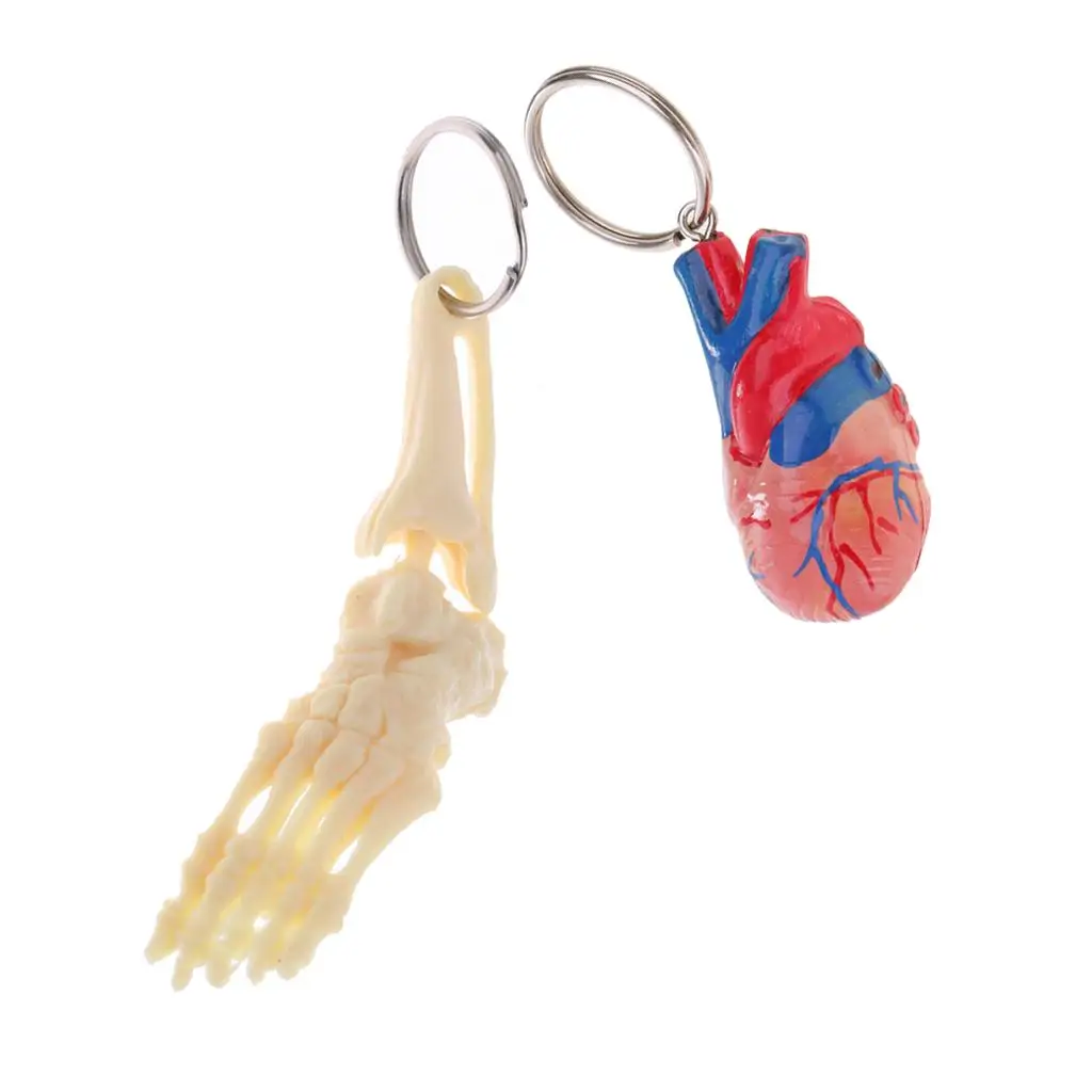 2pcs Novelty Keychain for , Mini Handcrafted Human Heart and Foot Skeleton Model , Learning Tools Collectibles