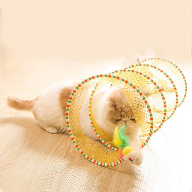 gato dobrado - Mola túnel para gatos tipo S  coelho com bolas e brinquedos  gato ao ar livre para gatinho jogo interativo Lafan : .com.br: Pet  Shop