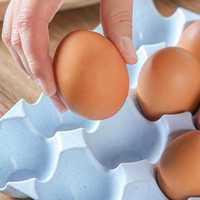 Scatola Portauova In EPE: Antiurto, Per Trasporto E Conservazione Uova