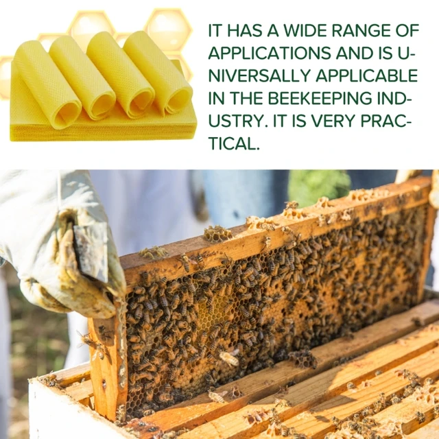 10PCS Bee Wax Foundation Bee Hive Wax Frames Base Sheets Bee Comb