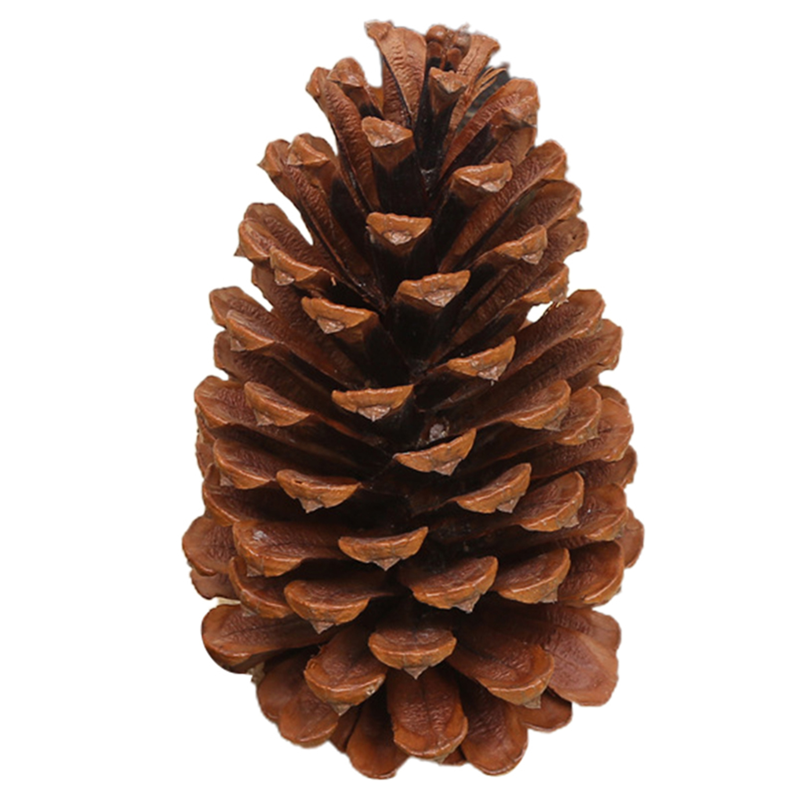 Рождественские украшения Pinecone, натуральные большие сосновые конусы,  рождественская елка, украшение для дома и улицы xqmg | AliExpress