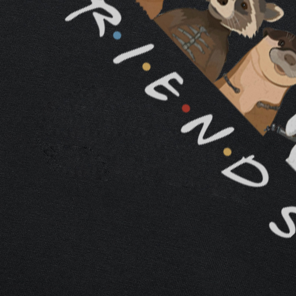 Lylla & Rocket Teefs Boden T-Shirt Rocket Lylla Shirts Galaxy Guardians 3, inspiriertes Rocket Raccoon Friends T-Shirt Fans Geschenk – Detail 4