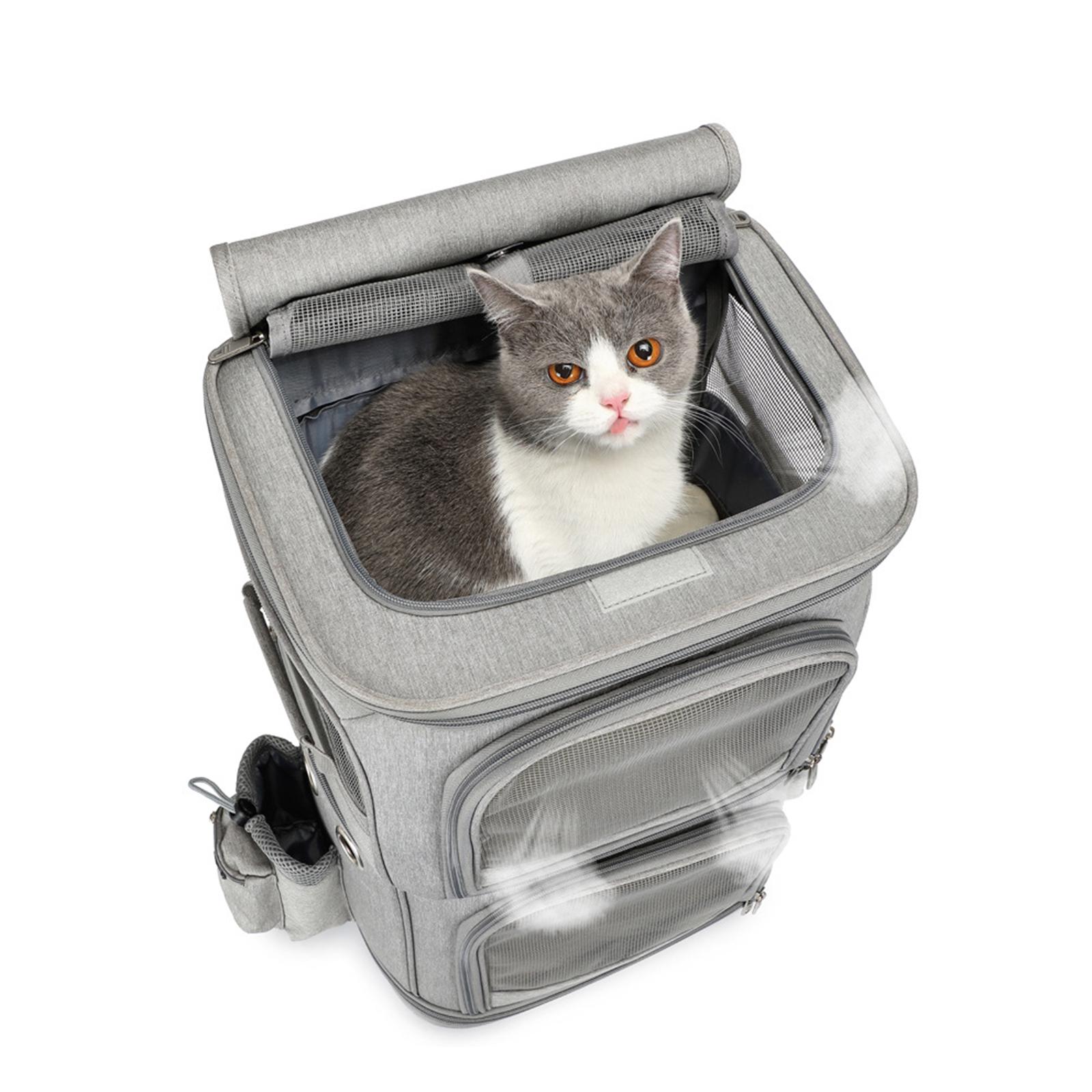 cat carrier for two cats on wheels