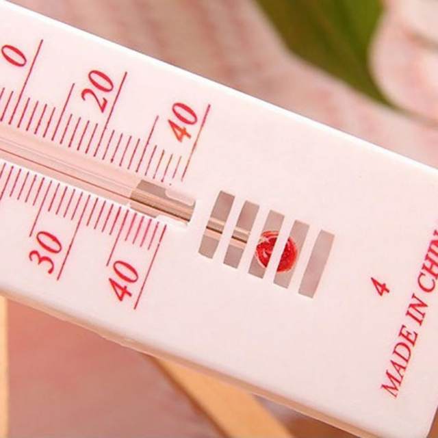 thumbnail image 2 of Ozoffer Wooden Wall Thermometer Indoor & Outdoor Use | BIG W 2 of 12