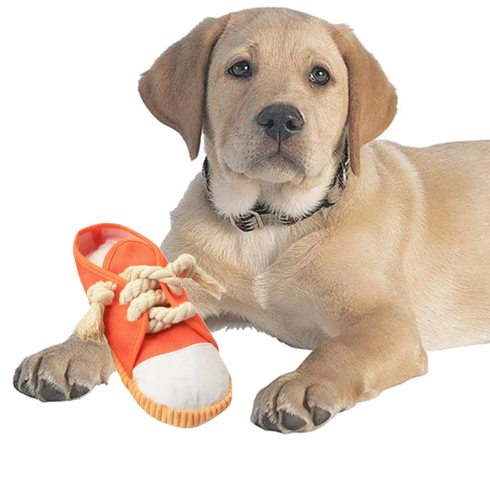 Shoes Shape Dog Chew Toy Dog Squeaky Toy Keeping Your Pet Active Creative