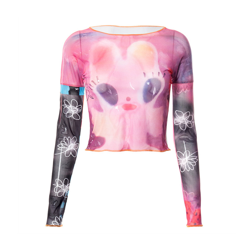 Summer New Fashion Fairy Tale Style Y2k Top Casual O-Neck Long Sleeve Shirts For Women Net Yarn Slightly Sheer Graphic T Shirts 4 Summer New Fashion Fairy Tale Style Y2k Top Casual O-Neck Long Sleeve Shirts For Women Net Yarn Slightly Sheer Graphic T Shirts