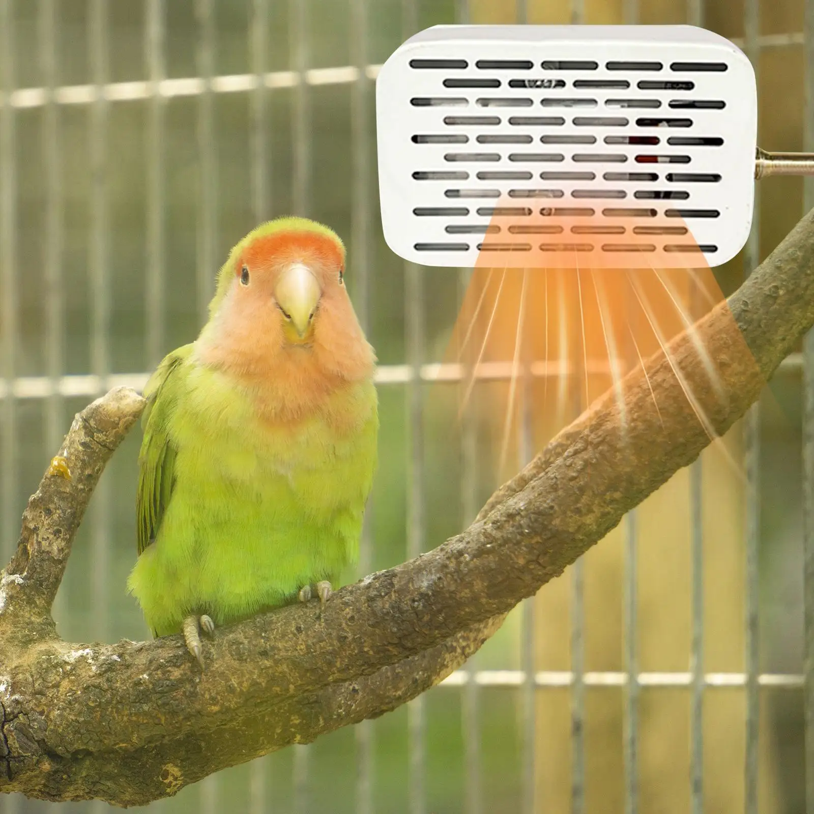 Bird Heater for Cage Anti Bite Wire Safety Winter Birds Heat Lamp with Lampshade