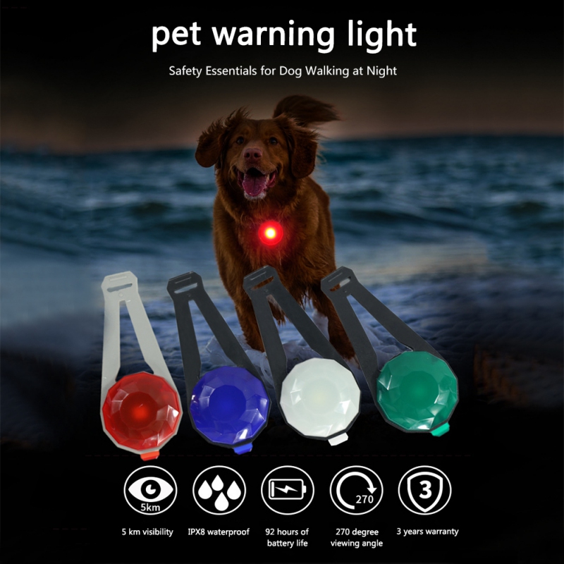 dog light leash