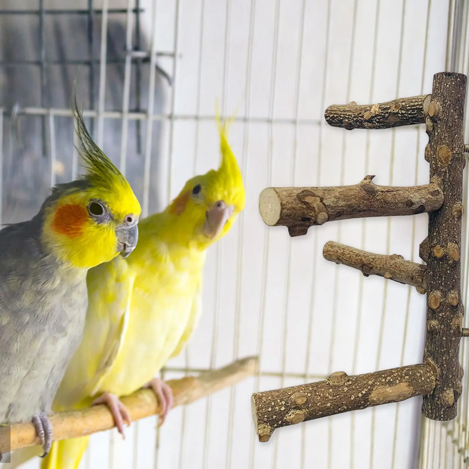  Perches ,Wooden Pole Hanging Training Toy .Paw Grinding Standing .Pet Parrot Chewing Bite Toys for Budgies Cockatiels Macaws