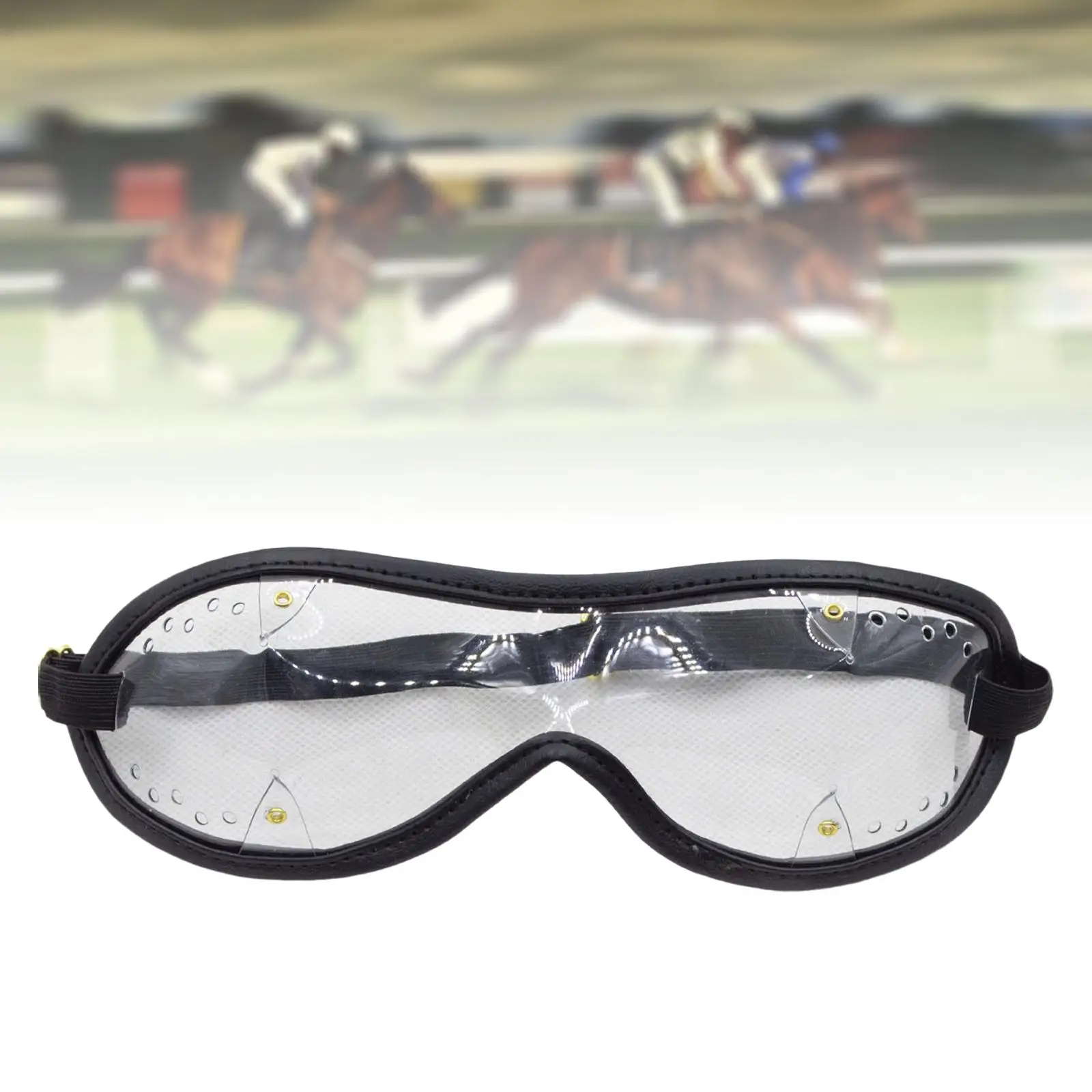 Outdoor Glasses Adjustable Strap Eye Protection Windproof Dustproof Goggles