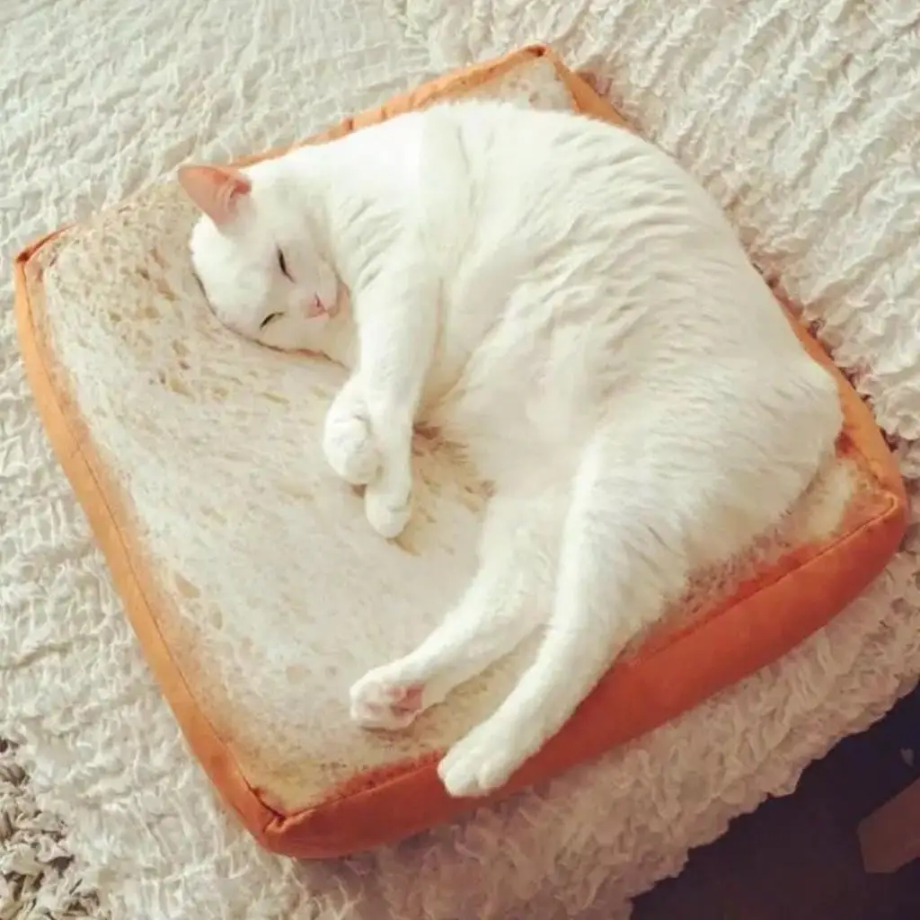 Fashion Bread Toast Pillowcase Cat Small Dogs Bed Pillowcase