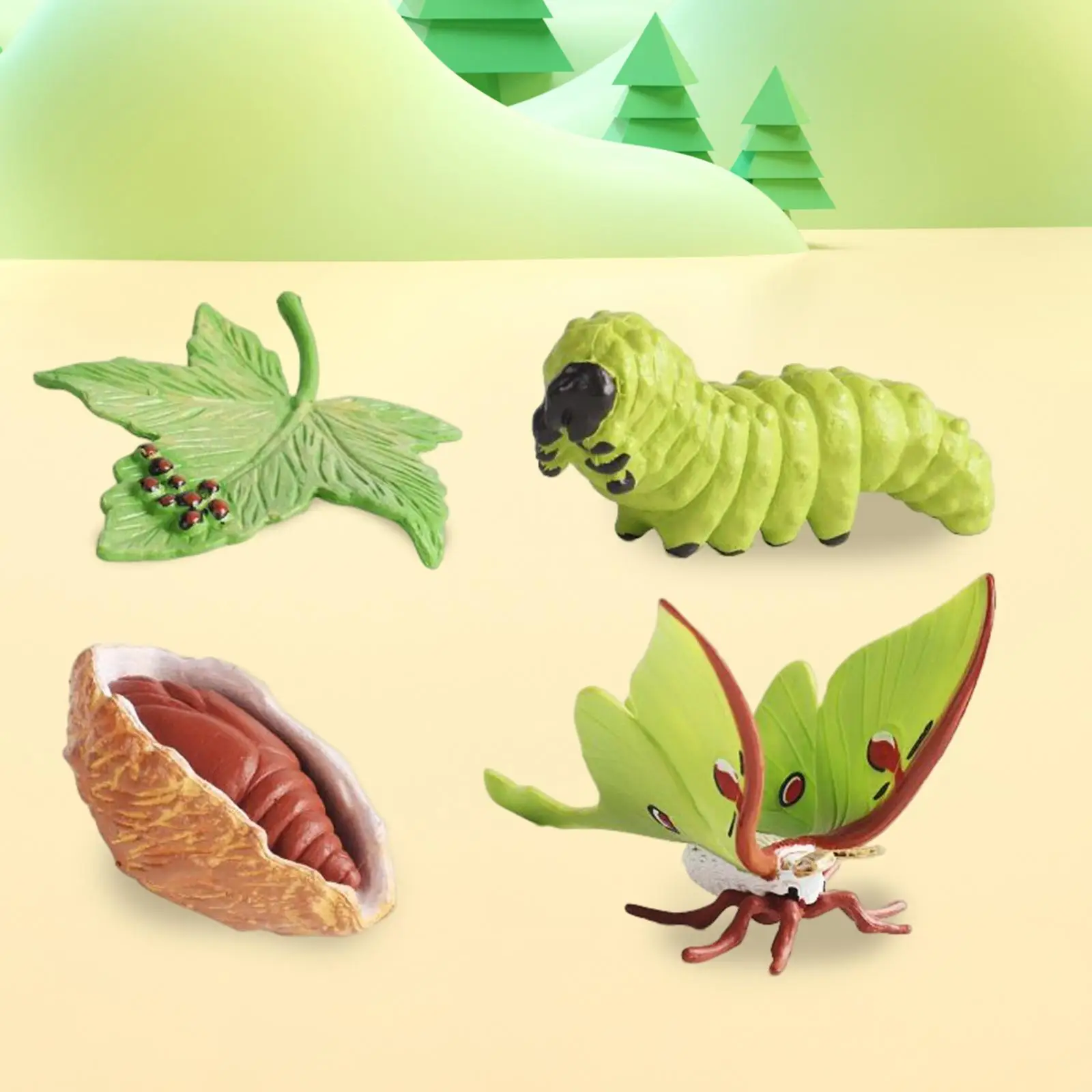 Life Cycle Figurines Animal Cognitive Science Toy for Girls Preschool Kids