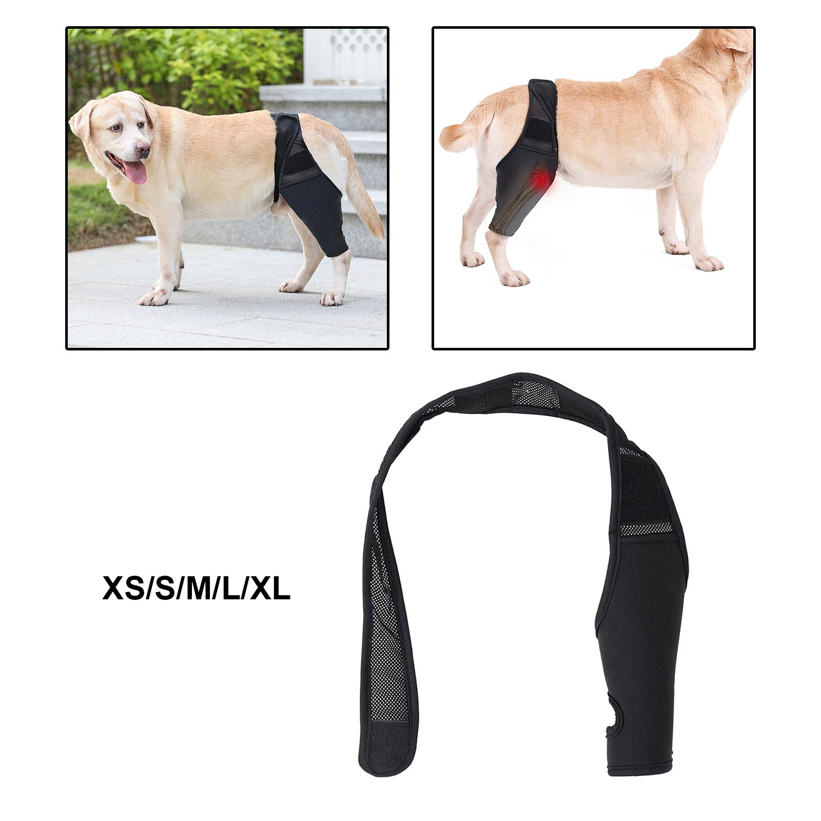 diy dog elbow protector