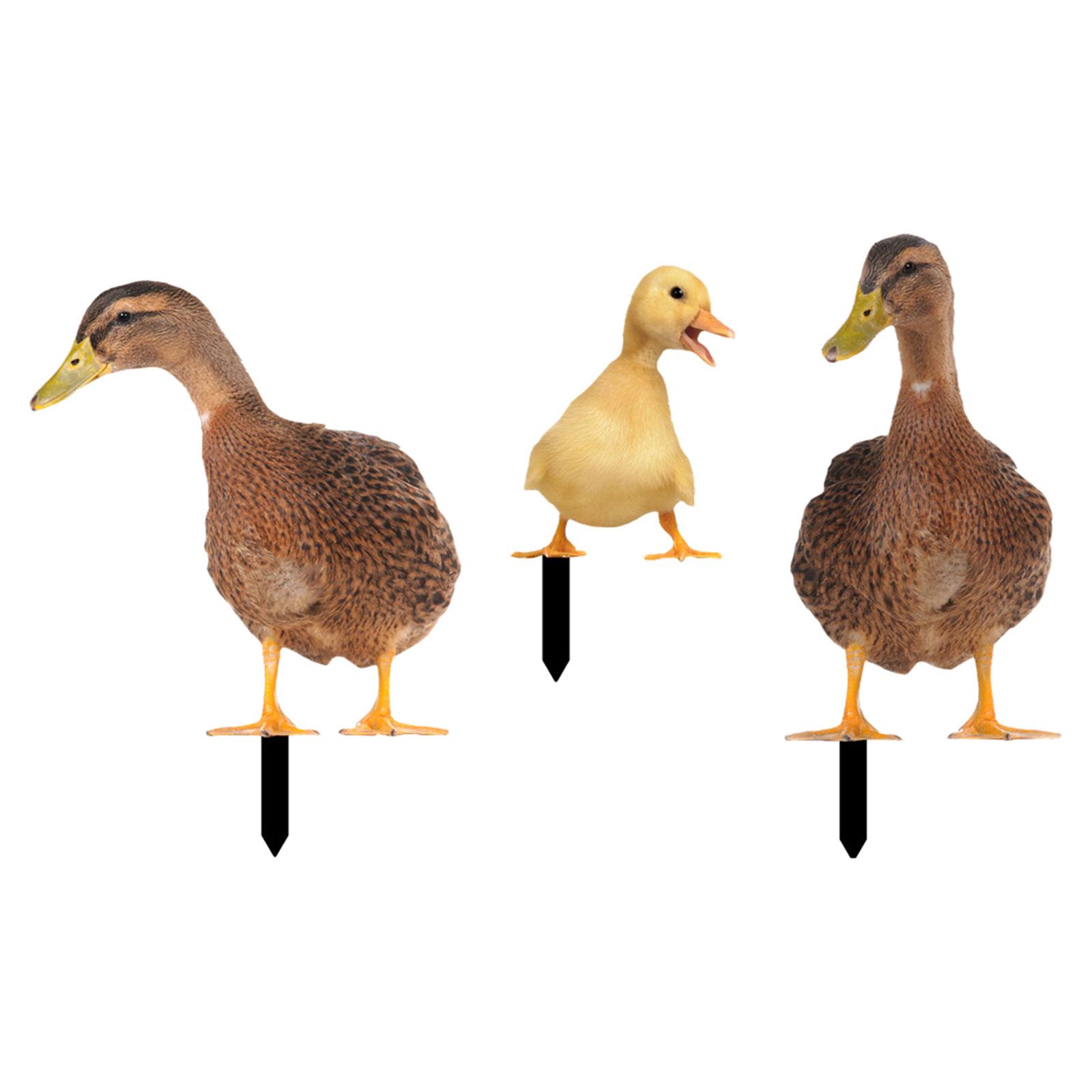 3x Acrylic Duck Statue Stakes Decorative Realistic Animals Figurines Stakes for Swimming Pool Front Porch Backyard Courtyard