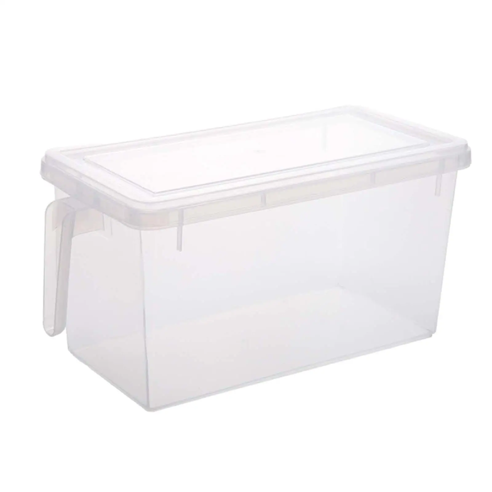 Fridge Storage Organizer Kitchen Fruit Container for Seafood Meat Countertop