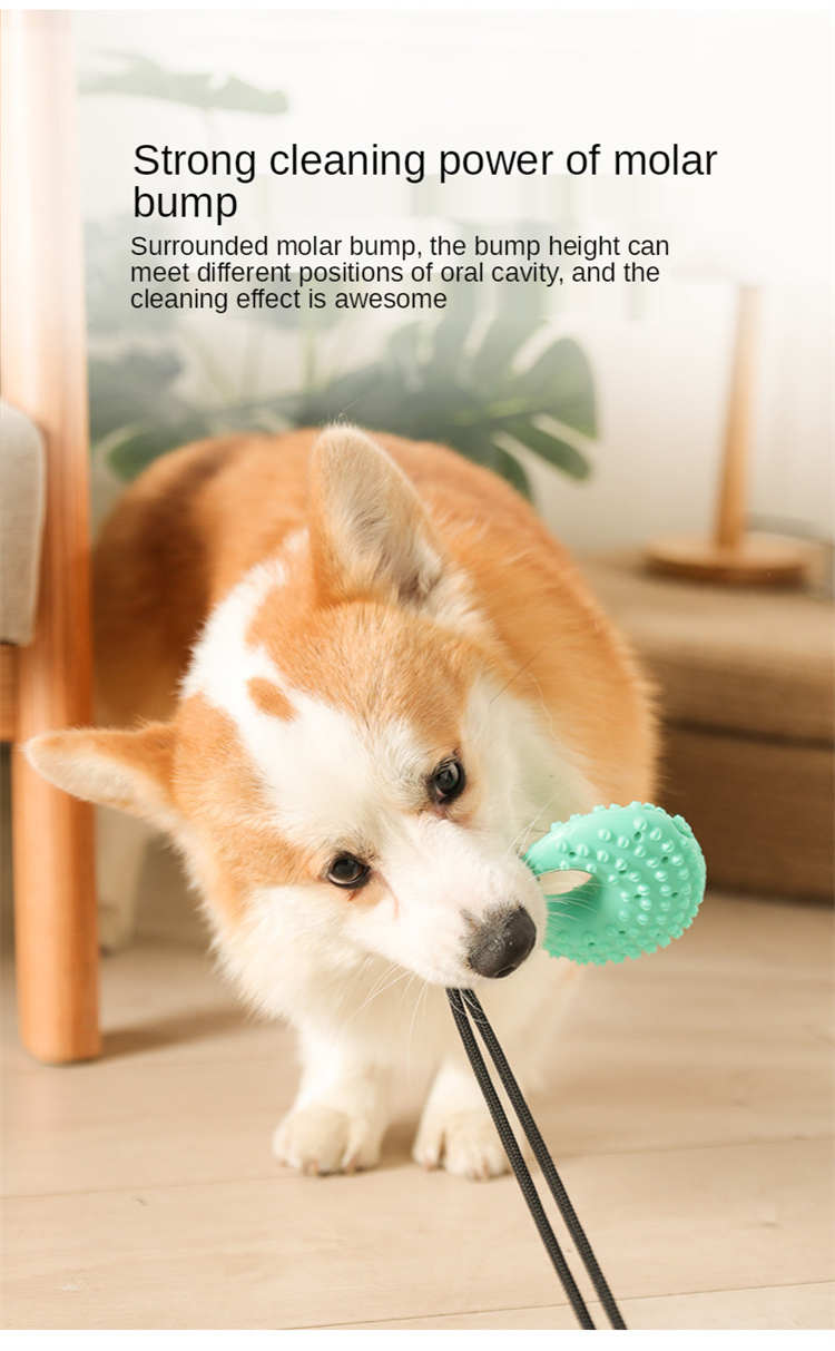 Dog Toys Silicon Suction Cup Tug Interactive Dog Ball Toy for Pet Chew Bite Tooth Cleaning Toothbrush Slow Food Pet Supplies