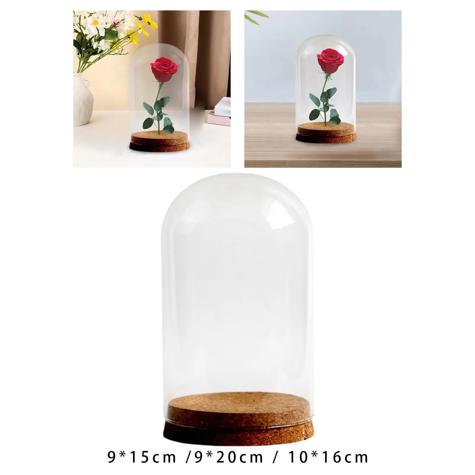 Preserved Flower Glass Cover DIY Modern for Party Anniversaries Study Room