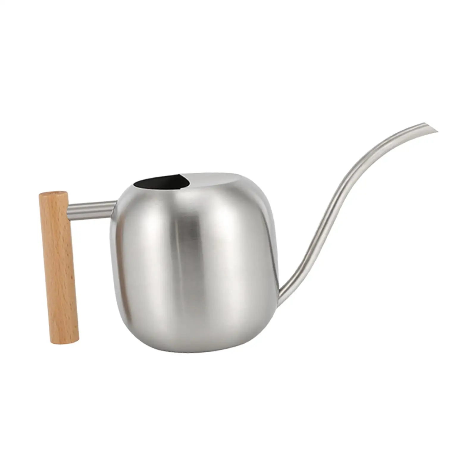 Stainless Steel Watering Can Small Wooden Handle for Outdoor Patio Decor