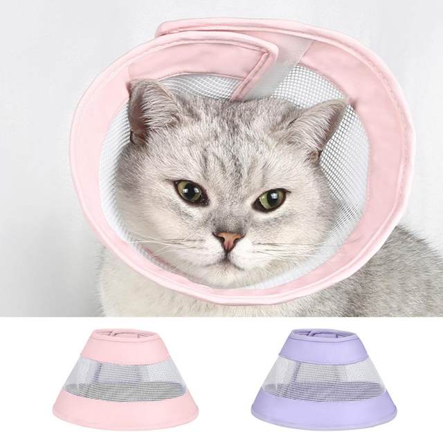 Cat plastic cone collar hotsell