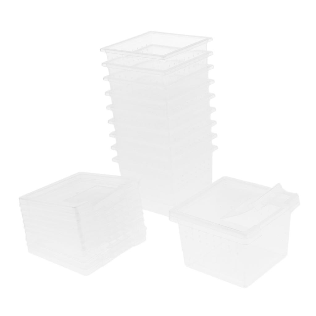 10pcs Feeding Box Reptile Cage Hatching Container Rearing Tank for Lizards Terrarium Tortoise Spider Beetle Insect House
