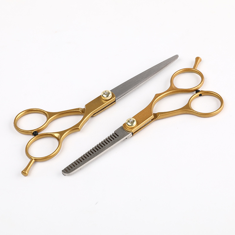 Best of Golden Professional 6.0 Inch Stainless Steel Barber Hair Cutting Thinning Scissor Shears Hairdressing Set Reviews & Tips