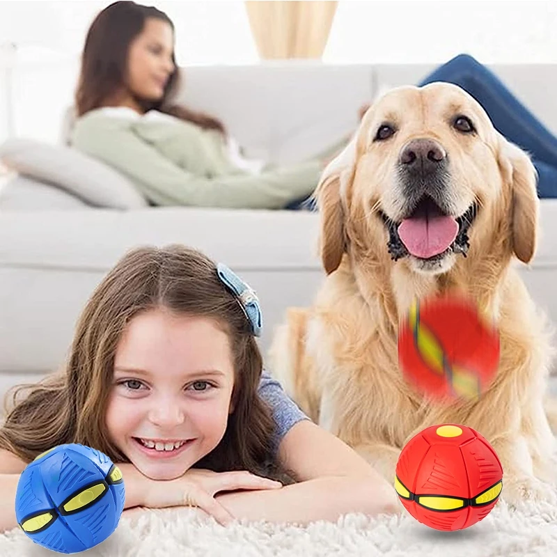 Fying Saucer Ball Dog Toy