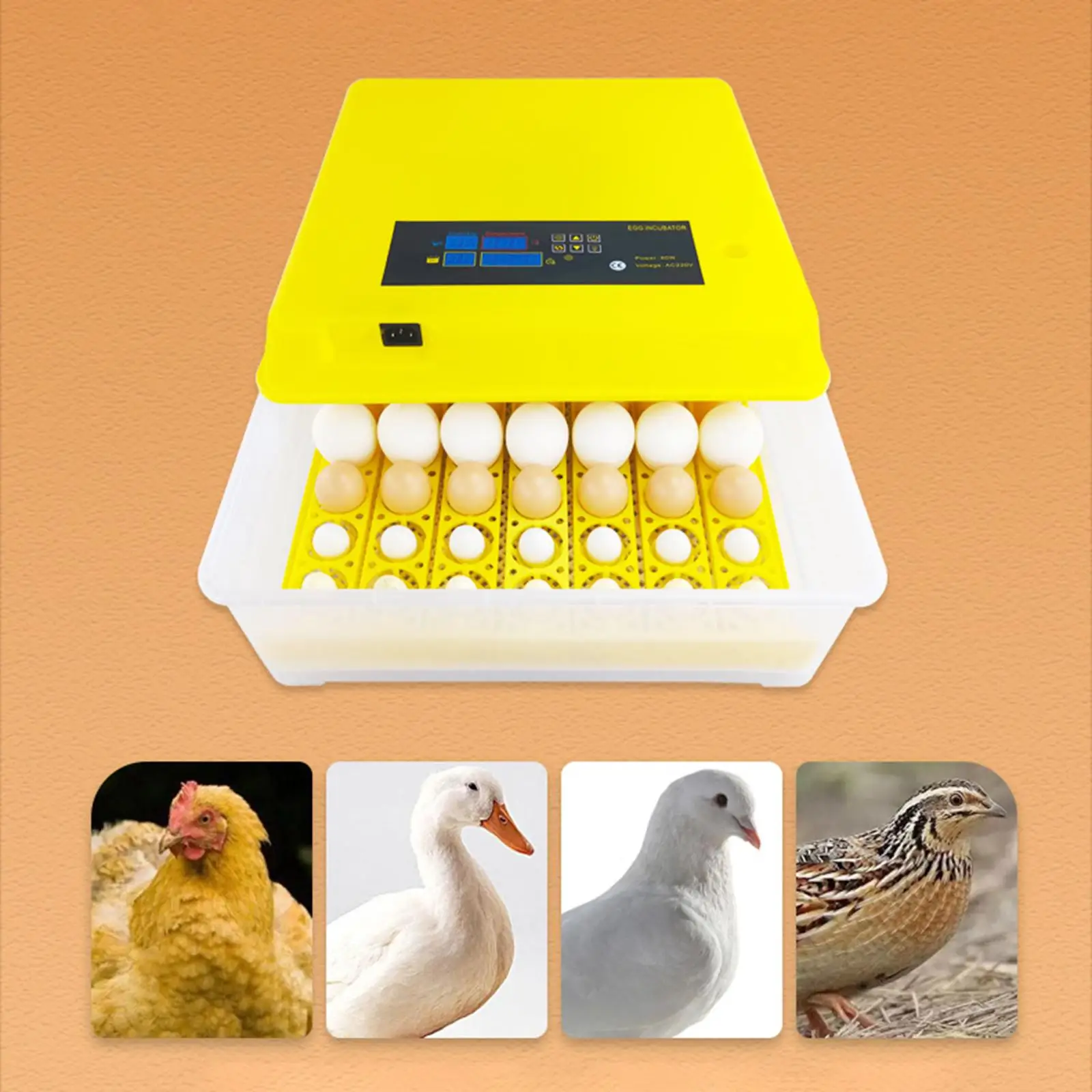 Digital Egg Incubator Brooding Machine Temperature and Humidity Control Egg Turner Farm Egg Incubator for Turkey Birds Hatching
