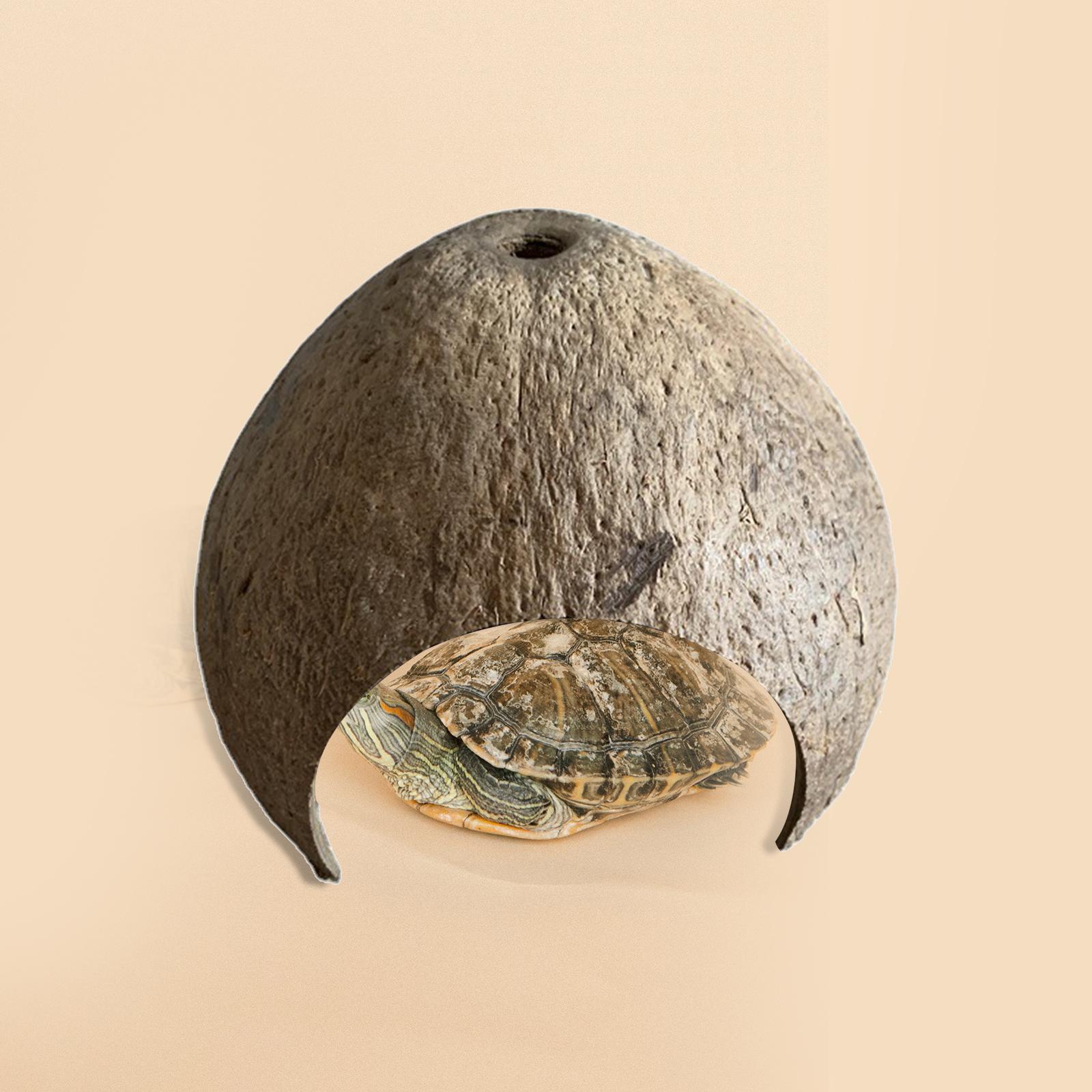 Coconut Shells Hut Reptile Hideouts Shelter Hide Breeding Hermit Ornament House Growth for Aquarium Decor