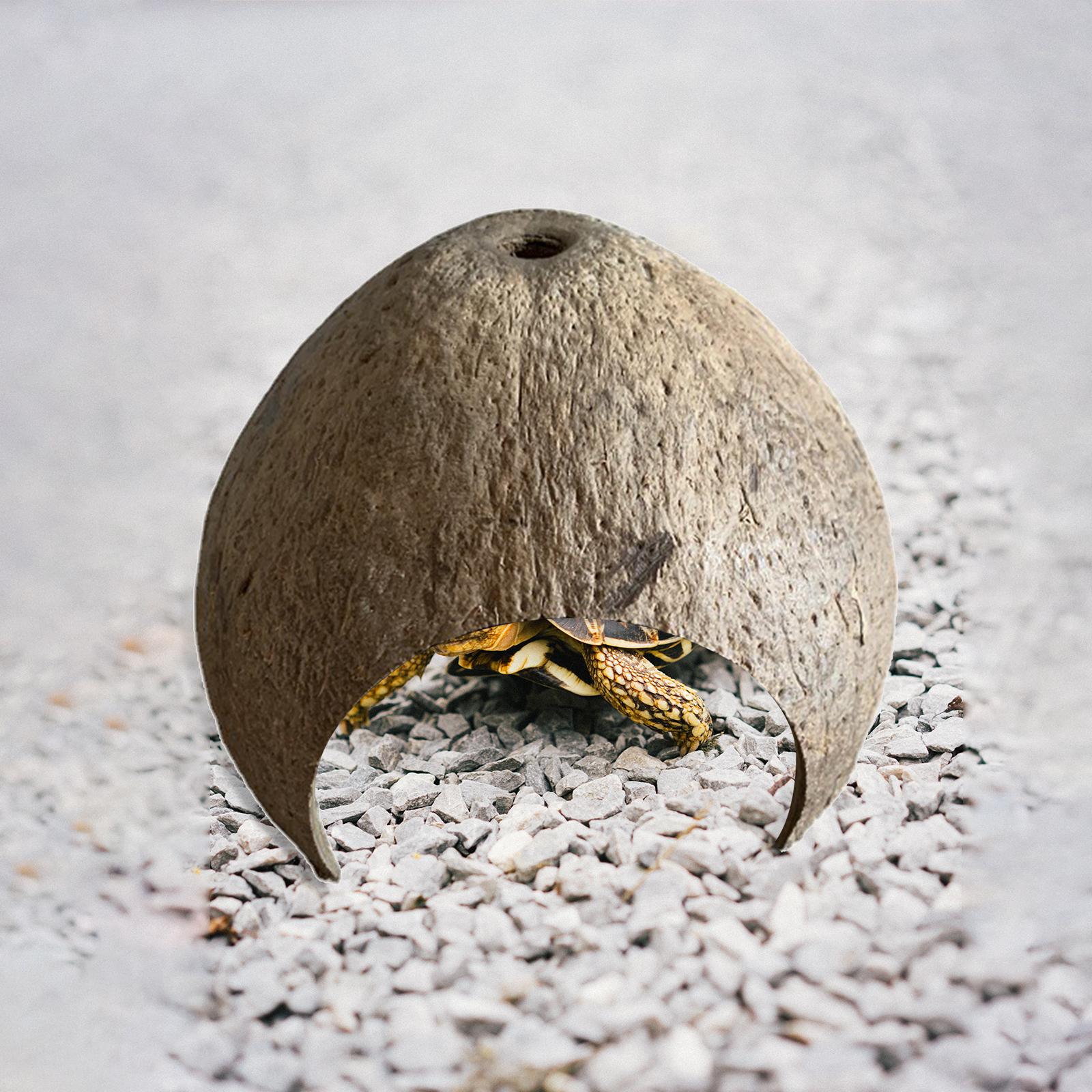 Title 1, Gusci di noce di cocco Capanna Rifugio Nascondi...