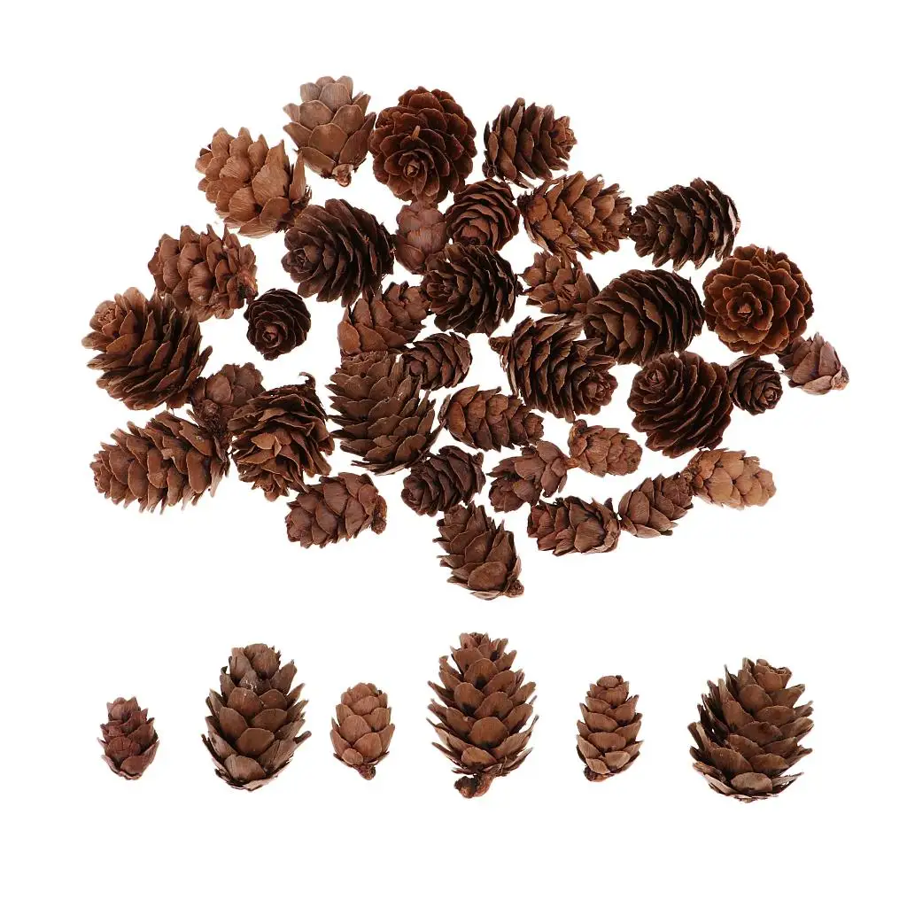 50 Pcs Rustic  Pine Cones in Bulk   Ornaments for Home Decor and Christmas Wedding  Party Hanging Crafts