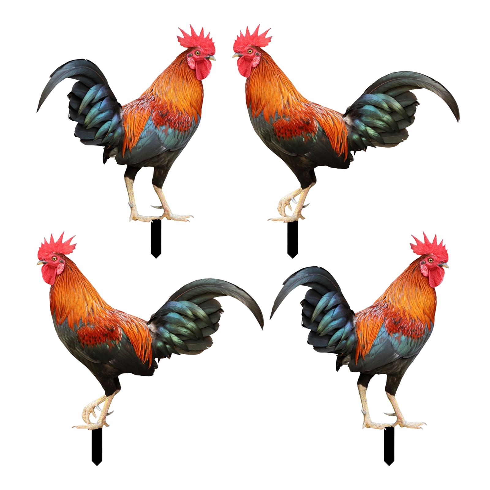 Rooster Animal Statue Standing Garden Stakes Ornament Hen Lifelike for Patio