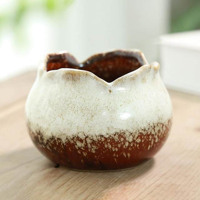 Commercio All'ingrosso Mini Vaso di Fiori di Ceramica Del Fumetto Lumaca  Fioriera per Piante Grasse Cactus Desktop Vasi da Giardino di Casa Della  Decorazione - AliExpress