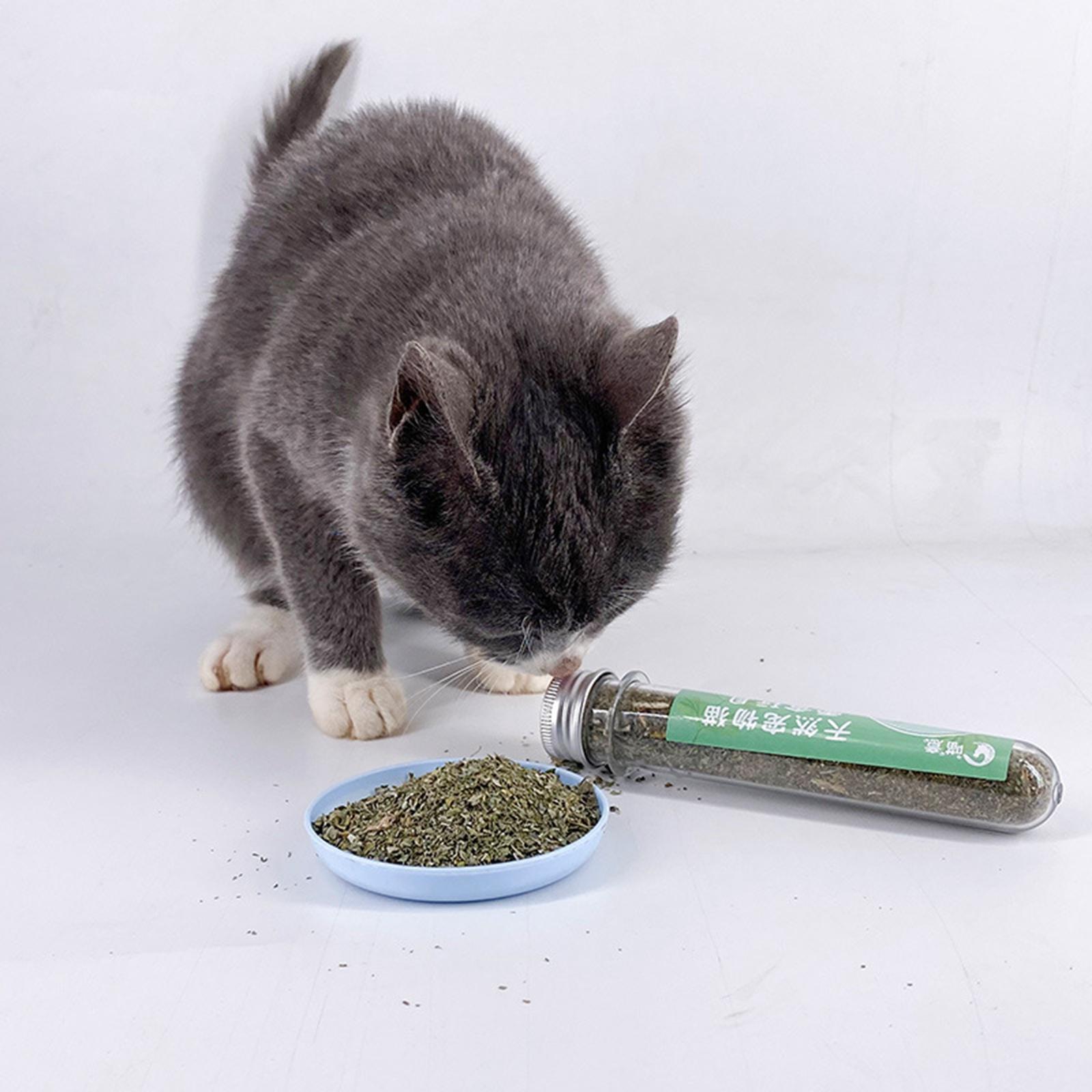 Catnip Powder for Cats Pet Supplies Cats Treats Catnip for Happy Kitten Catnip Powder for Cats Pet Supplies Cats Treats Catnip for Happy Kitten