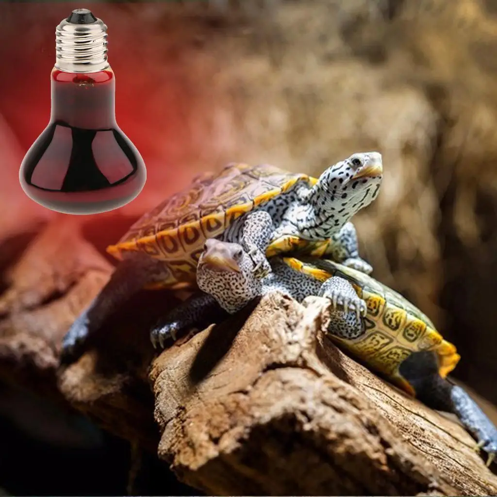 PetsOla Tortoise Reptile Vivarium Heating Light Beneficial UVA Nightlight Lamp 40W-100W