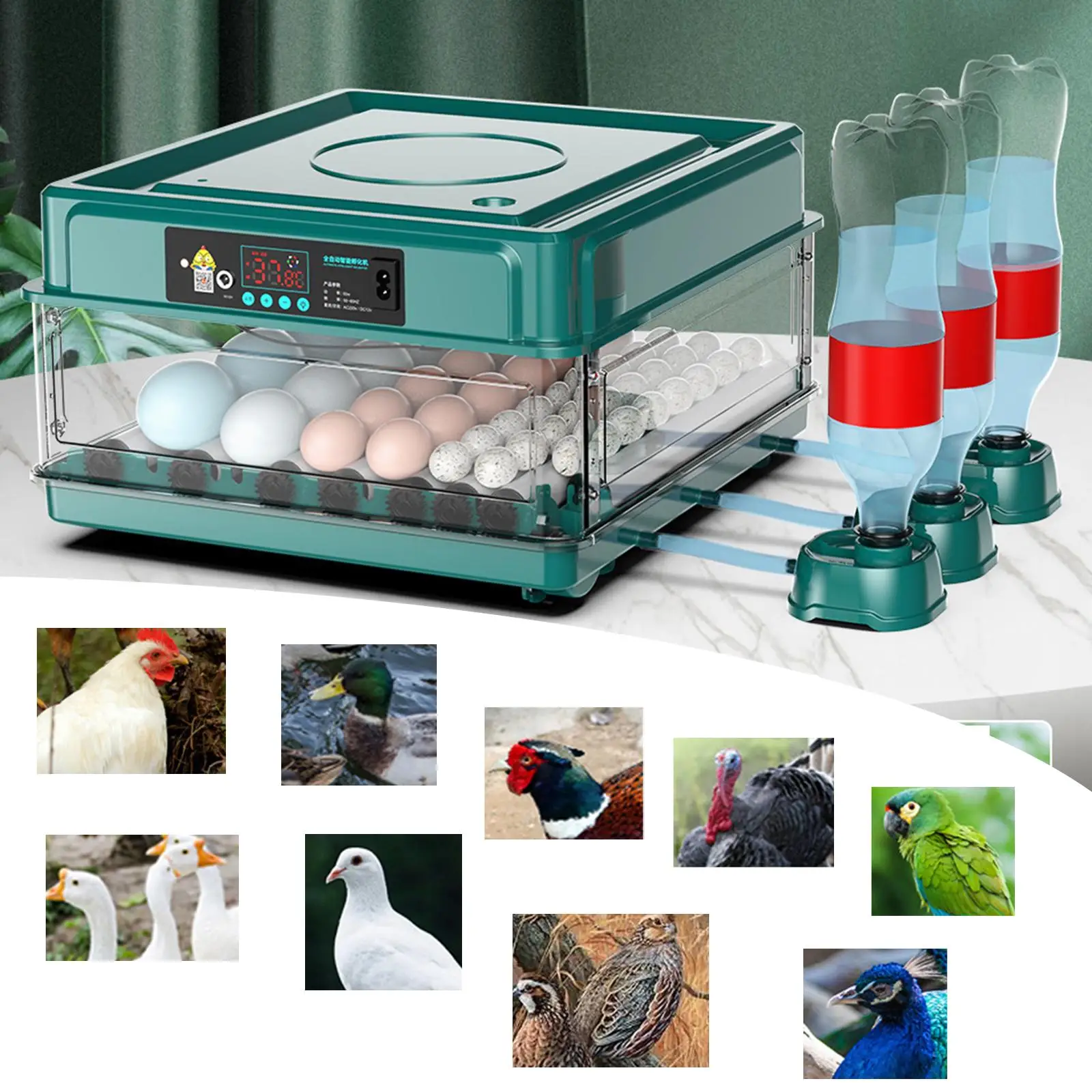 Egg Incubator Automatic Chick Incubator LED Display for Goose Chicken 24 Eggs