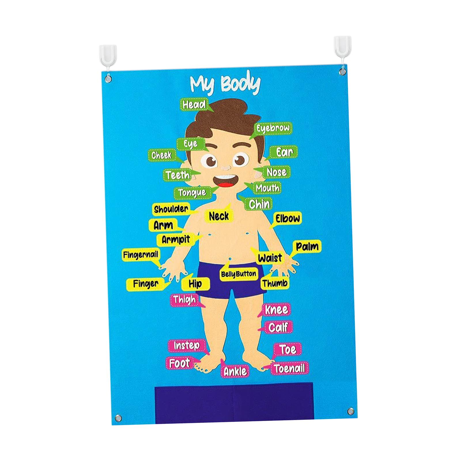 Learning Toy Felt Puzzle Busy Board Colorful Detachable Teaching Aids Body Parts Learning Felt Board Toddlers Preschool Infant