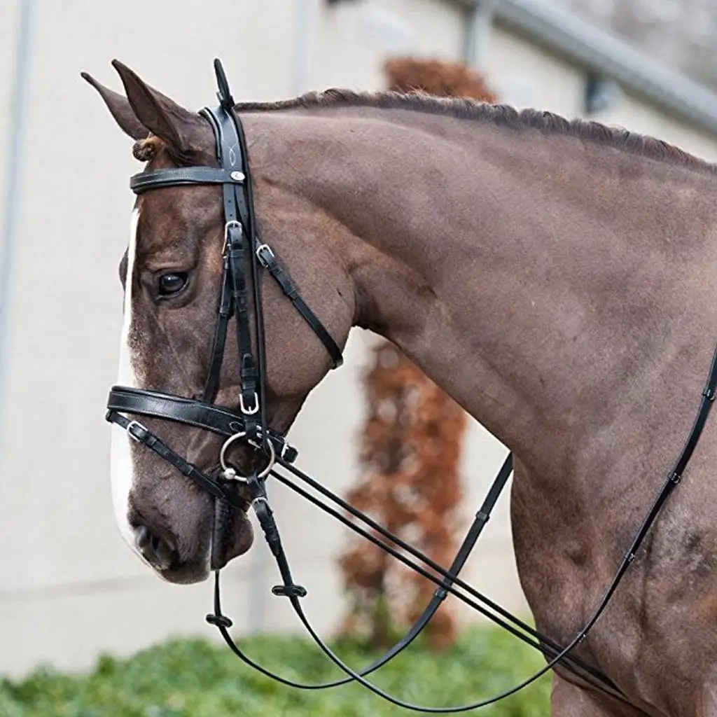 stretcher fo neck - Horse Reins -  Equestrian Equipment Supplies, Black Color