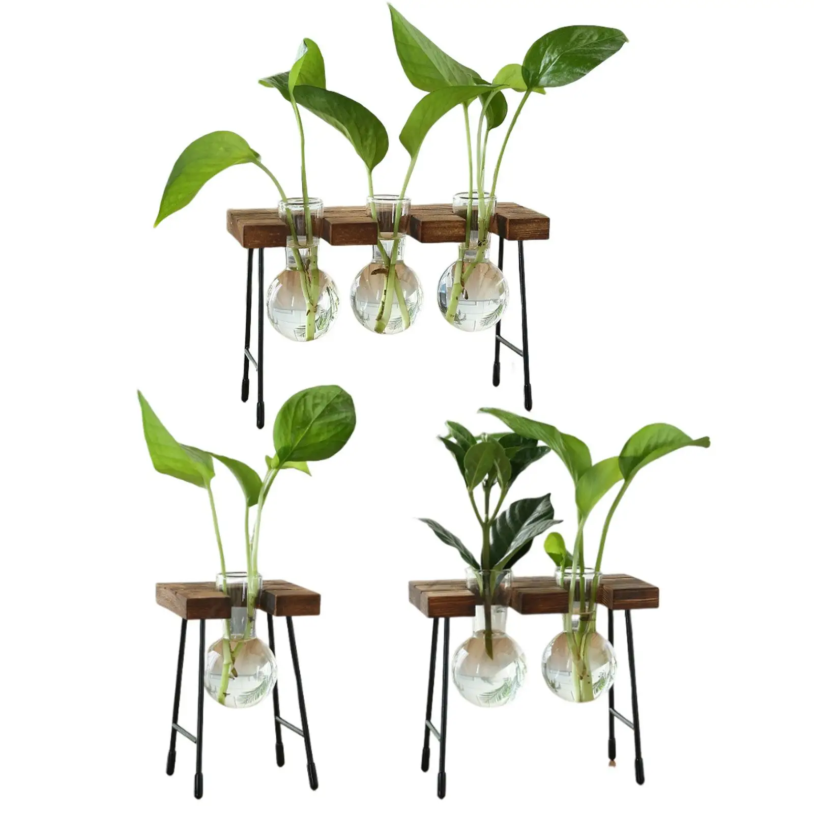 Hydroponic Flower Vase Wooden Rack Glass Flower Vase Plant Terrarium Simple for