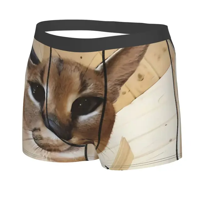 Cube Man's Boxer Briefs Big Floppa Anime Highly Breathable