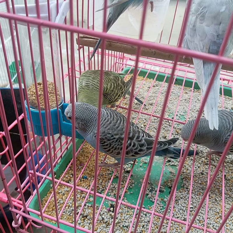 Haustier Vogel Kunststoff Auto Feeder Papagei Nymphensittich Fütterung Wasser Trinker Tasse Schüssel Spender Käfig Liefert – Detail 9