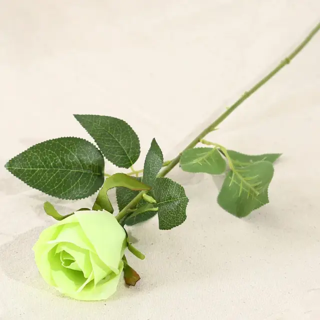 single green rose flowers
