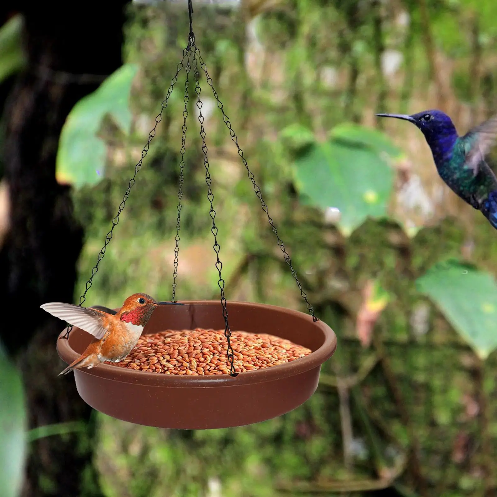 Hanging Bird Feeding Dish Bird Water Bowl